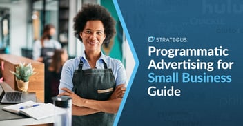Programmatic Advertising for Small Businesses Guide