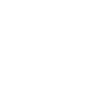 car-icon