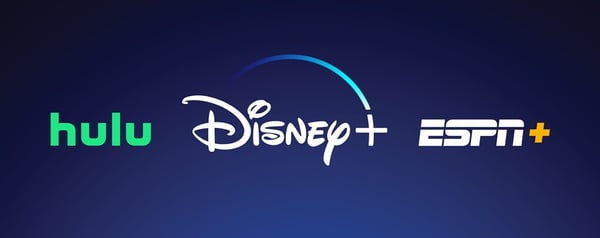 disney bundle