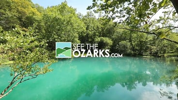 See the ozarks 