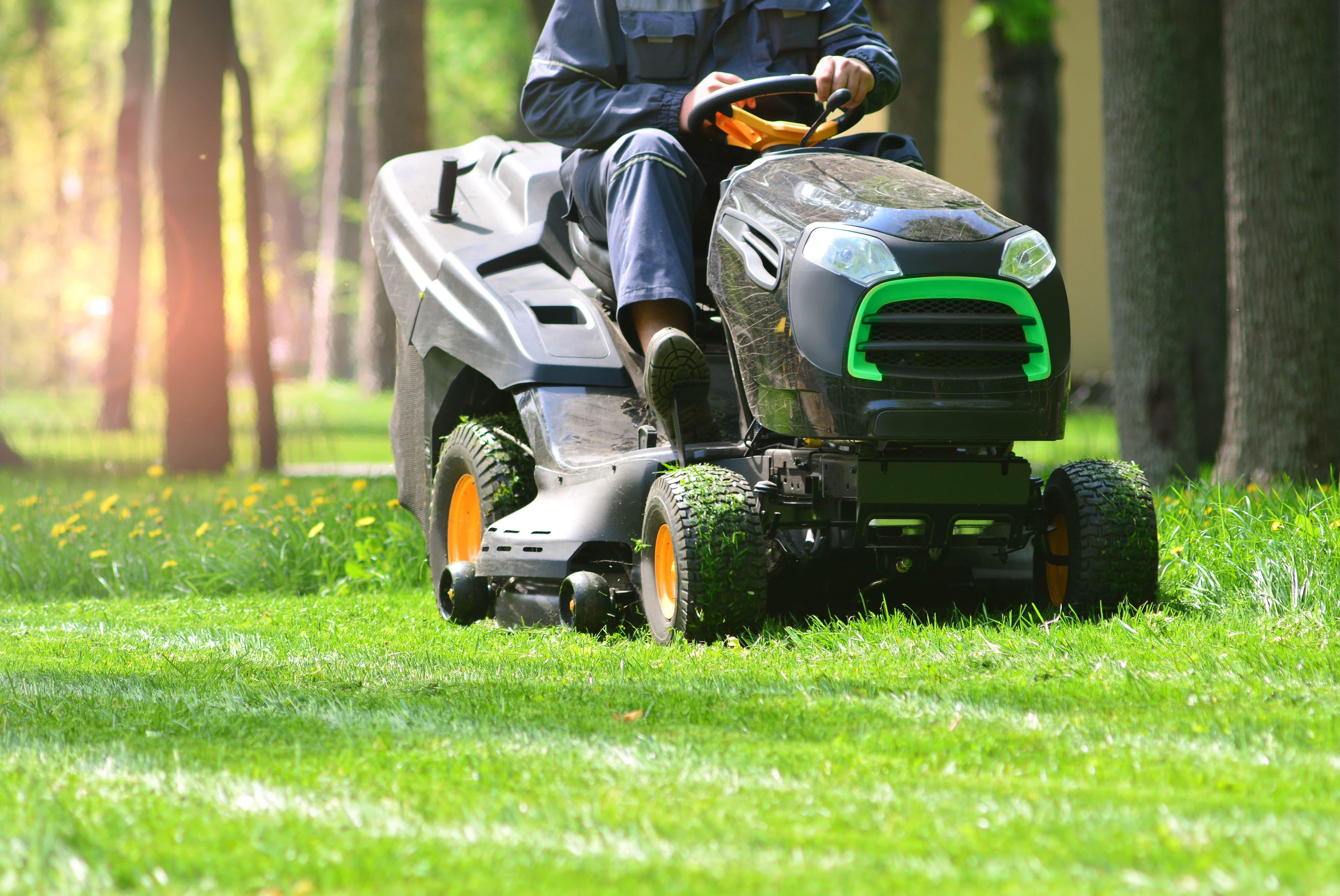National Lawn Care Franchise case study