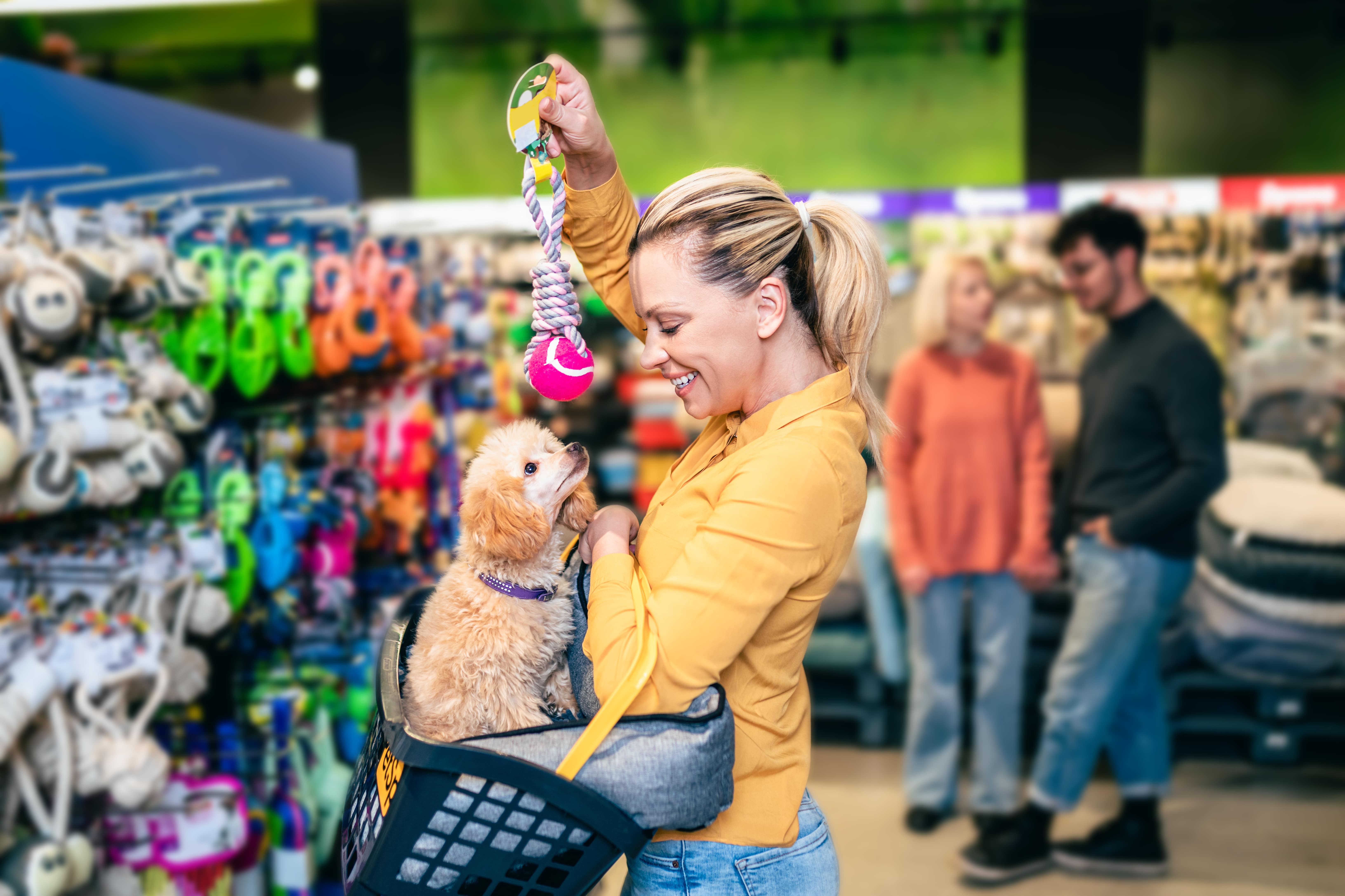 pet supply store case study